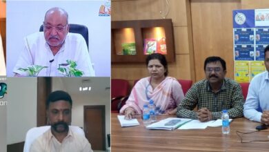 साक्षरता, वेबीनार