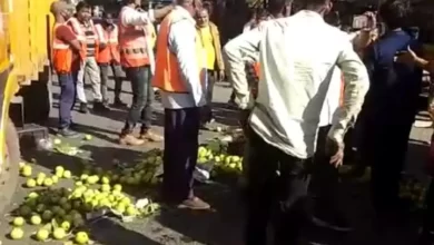 Indore: इंदौर कलेक्ट्रेट कार्यालय चौराहे पर फल और सब्जी